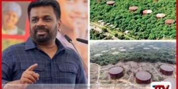 බලශක්ති අර්බුදයට ස්ථිර විසඳුමක් ලෙස ත්‍රිකුණාමලය තෙල් ටැංකි ව්‍යාපෘතිය කඩිනම් කෙරේ