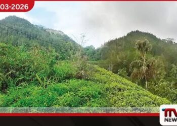 දුරකන්දෙණිය පතල්කන්දේ සැඟවුණු අභිරහස් සහ මිනිරන් ඉතිහාසය