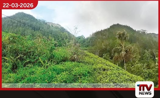 දුරකන්දෙණිය පතල්කන්දේ සැඟවුණු අභිරහස් සහ මිනිරන් ඉතිහාසය