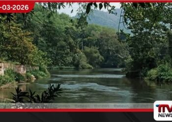 කැලණි ගඟේ මසුන් දහස් ගණනින් මියයයි