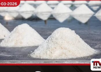 ගෝලීය මිරිදිය පද්ධතිය  ලවණීකරණය වීමේ තර්ජනයට