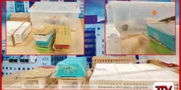 විදේශීය සුරතල් සතුන් 38ක් මෙරටට හොරෙන් ගෙනා ශ්‍රී ලාංකිකයෙක් කටුනායකදී අත්අඩංගුවට