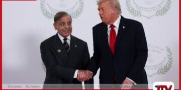 තිරිඟුත් නැත යූරියාත් නැත