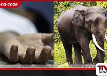 දියබෙදුම කොඳුරුවාව ප්‍රදේශයේදී වනඅලි ප්‍රහාරයකින් 61 හැවිරිදි පුද්ගලයෙක් ජීවිතක්ෂයට