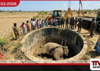 පුද්ගලයෙකු පසුපස හඹා ආ  වන අලියෙකු පාළු ළිඳකට වැටී මිය යයි