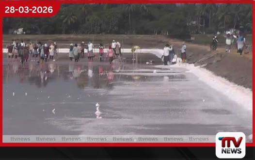 හම්බන්තොට මහලේවායේ යල කන්නයේ ලුණු අස්වනු නෙලීම ඇරඹෙයි