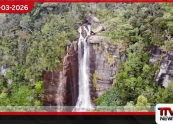 ලවර්ස් ලීප් දිය ඇල්ලේ සෙල්ෆි ගැනීමට ගිය විදේශිකයෙකු ප්‍රපාතයට ඇද වැටී රෝහල්ගත කෙරේ