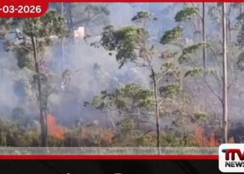 කාසල්රී රක්ෂිතයේ හටගත් ගින්නෙන් අක්කර 10ක් විනාශයි