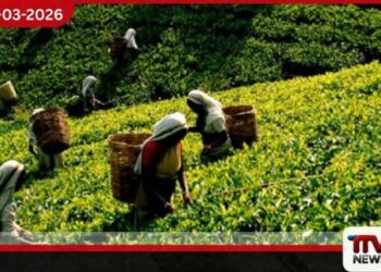 මැදපෙරදිග ගැටුම් හමුවේ ලංකා තේ සඳහා ඉල්ලුම ඉහළට