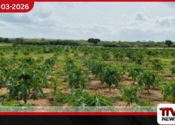 තරුණ කෘෂි ව්‍යවසායකයින් සඳහා ව න 4% සහන පොලී ණය යෝජනා  ක්‍රමය 2026 වසරේදීත්