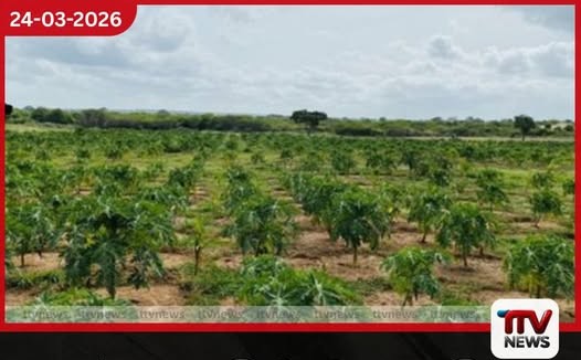 තරුණ කෘෂි ව්‍යවසායකයින් සඳහා ව න 4% සහන පොලී ණය යෝජනා  ක්‍රමය 2026 වසරේදීත්