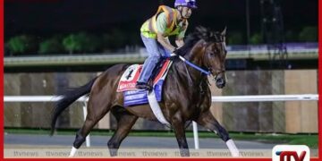 ඩොලර් මිලියන 30.5ක  තෑගි මුදලක් සමඟ  ඩුබායි ලෝක කුසලාන අශ්ව රේස් තරඟාවලිය  හෙට ඇරඹේ