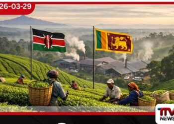 කෙන්යාවේ තේ කර්මාන්තයේ සැලකිය යුතු කොටසක් ශ්රී ලාංකික සමාගම් සතු වෙයි