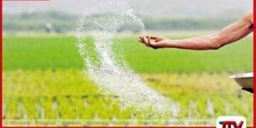 රට තුළ පොහොර සීමිත බැවින් වී වගාවට පමණක් යූරියා ලබාදීමට රජය තීරණය කරයි