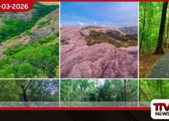 ජාතික නාමල් උයන  ශ්‍රී ලංකාවේ ජාතික උරුමයක්  ලෙස ප්‍රකාශයට පත් කෙරේ