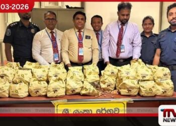 කොතල හිඹුටු චීනයට පැහැර ගැනීමට  තැත් කළ විදේශිකයෙකු  කටුනායකදී කොටු වෙයි