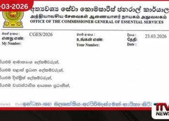 ඉන්ධන සහ විදුලිය අරපිරිමැස්මට රජයේ නව මාර්ගෝපදේශ මාලාවක්