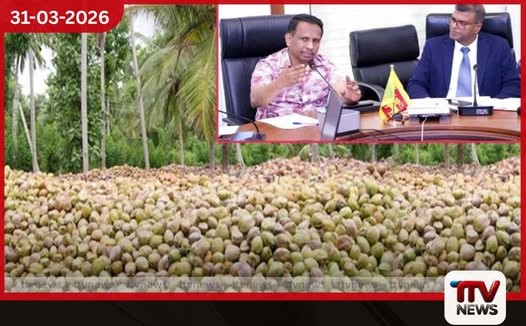 දේශීය පොල් අපනයන ක්ෂේත්රය ශක්තිමත් කිරීමට සහ අපනයනකරුවන්ට සහන සැලසීමට රජයේ අවධානය