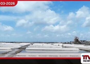 යල කන්නයේ ලුණු අස්වනු  නෙලීම ඇරඹෙයි