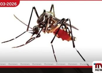 මාතර ඩෙංගු මර්දනයට  කඩිනම් වැඩපිළිවෙළක්