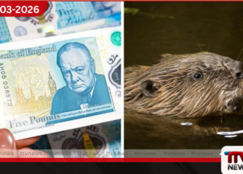 බ්‍රිතාන්‍ය මුදල් නෝට්ටුවලින් චර්චිල් ඉවතට බීවර් සතුන් ඇතුළත් කිරීමට ගත් තීරණයට දැඩි විරෝධයක්