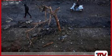 ඊශ්‍රායල ගුවන් ප්‍රහාරයකින්  හිස්බුල්ලා සංවිධානයේ  ජ්‍යෙෂ්ඨ හමුදා අණදෙන නිලධාරියෙකු ඇතුළු 7ක් ජීවිතක්ෂයට