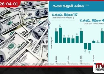 2026 වසරේ මුල් මාස දෙකේදී  විදේශීය ජංගම ගිණුමේ  ඩොලර් මිලියන 487ක අතිරික්තයක්