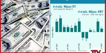 2026 වසරේ මුල් මාස දෙකේදී  විදේශීය ජංගම ගිණුමේ  ඩොලර් මිලියන 487ක අතිරික්තයක්