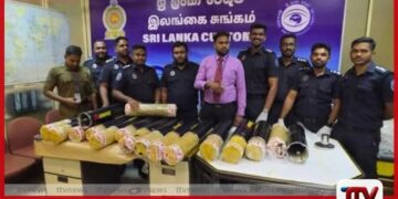 රු. කෝටි 25කට අධික කුෂ් මත්ද්‍රව්‍ය තොගයක් සමඟ  පුද්ගලයෙකු කටුනායකදී රේගු අත්අඩංගුවට