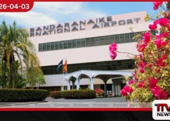 කොතල හිඹුටු කිලෝ 48 ක් සමඟ චීන ජාතිකයෙකු කටුනායකදී රේගු දැලට