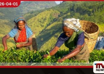 වතුකරයේ ගොවීන් 241  දෙනෙකුට ගොවි විශ්‍රාම  රක්ෂණ ඔප්පු ප්‍රදානය කෙරේ