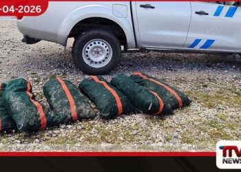 වඳවීමේ තර්ජනයට ලක්ව ඇති  මුහුදු ලිහිණියන් (Sea Urchins) ජාවාරම් කරන  ග්‍රීක කළු කඩයට වැටලීම්