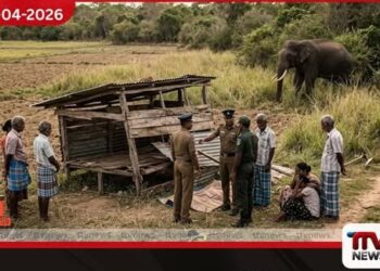 මඩකලපුවේදී  වනඅලි ප්‍රහාරයකින් 69 හැවිරිදි  ගොවියෙකු ජීවිතක්ෂයට