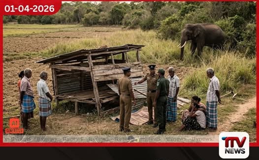 මඩකලපුවේදී වනඅලි ප්රහාරයකින් 69 හැවිරිදි ගොවියෙකු ජීවිතක්ෂයට