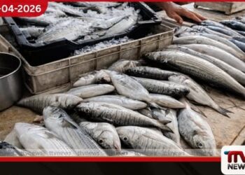 දැඩි උණුසුම හමුවේ  මත්ස්‍ය මිල ගණන් පහළට