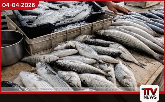 දැඩි උණුසුම හමුවේ මත්ස්ය මිල ගණන් පහළට