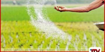 යල කන්නයේ  පොහොර බෙදාහැරීම  රජයේ සෘජු මැදිහත්වීමෙන්