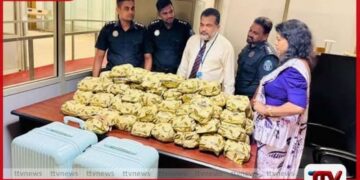 කොතලහිඹුටු නීති විරෝධීව මෙරටින්  රැගෙන යාමට තැත්කළ  චීන ජාතිකයෙකු කටුනායකදී අත්අඩංගුවට