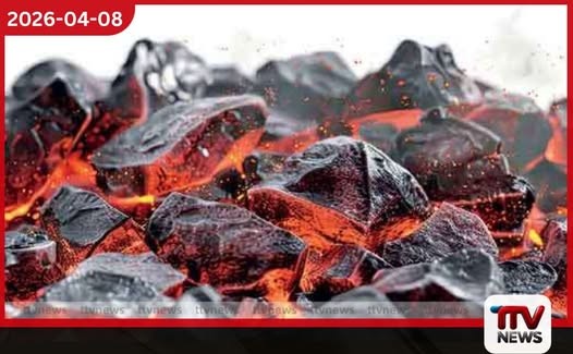 නොරොච්චෝලයට බාල තත්ත්වයේ ගල්අඟුරු ගෙන්වූ බව ජනාධිපති පිළිගනී