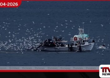 ග්‍රීසියේ නීති විරෝධී  මසුන් ඇල්ලීම වැළැක්වීමට  නව ඩිජිටල් සිතියමක් හඳුන්වා දෙයි