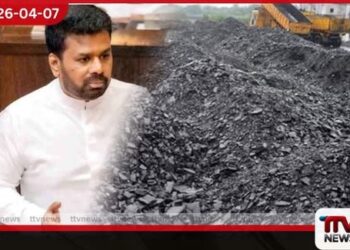 ගල් අඟුරු නිවැරදිද කියලා බලන්නේ, මම හෝ කවුරුවත් කාලා හපලා නෙමෙයි