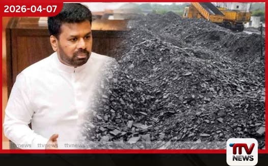 ගල් අඟුරු නිවැරදිද කියලා බලන්නේ, මම හෝ කවුරුවත් කාලා හපලා නෙමෙයි