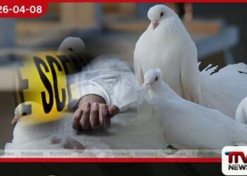 පරවියන් ඇල්ලීමට ගිය හය හැවිරිදි දරුවා අනාරක්ෂිත වළකට වැටී ජීවිතක්ෂයට