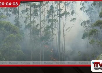 හැටන් දික්ඔය වන රාජා වත්තේ  යුකැලිප්ටස් වගාවක  හදිසි ගින්නක්