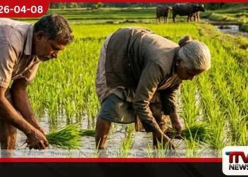 යල කන්නයේ  පොහොර අවශ්‍යතාව  සපුරා ඇති බවට සහතිකයක්