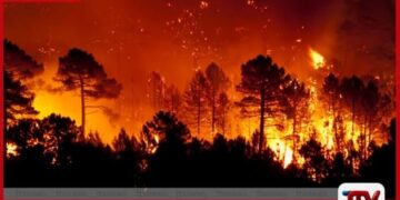 වියළි කාලගුණය නිසා  මේ වසරේ ලැව්ගිනි 15ක් දක්වා  වාර්තා වෙයි