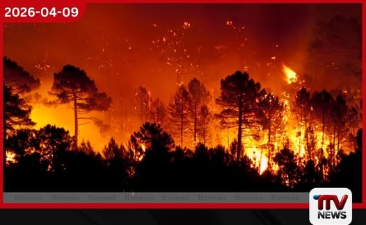 වියළි කාලගුණය නිසා මේ වසරේ ලැව්ගිනි 15ක් දක්වා වාර්තා වෙයි