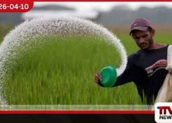 පොහොර හිඟය හේතුවෙන්  ශ්‍රී ලංකාවේ වතු ක්ෂේත්‍රයේ  අස්වැන්න පහත වැටීමේ  අවදානමක්