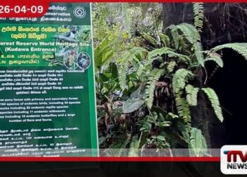 සිංහරාජයේ කුඩව පිවිසුම  හෙට සිට දින 6ක්  වසා තැබේ