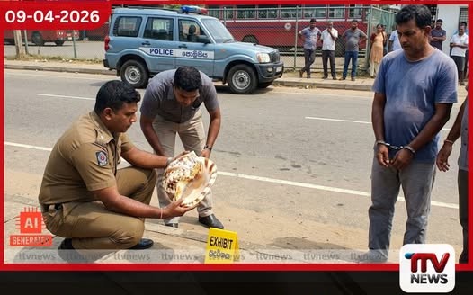 රුපියල් ලක්ෂ 35ක් වටිනා දුර්ලභ සාගමපුරියක් කළුතරදී කොටුවෙයි